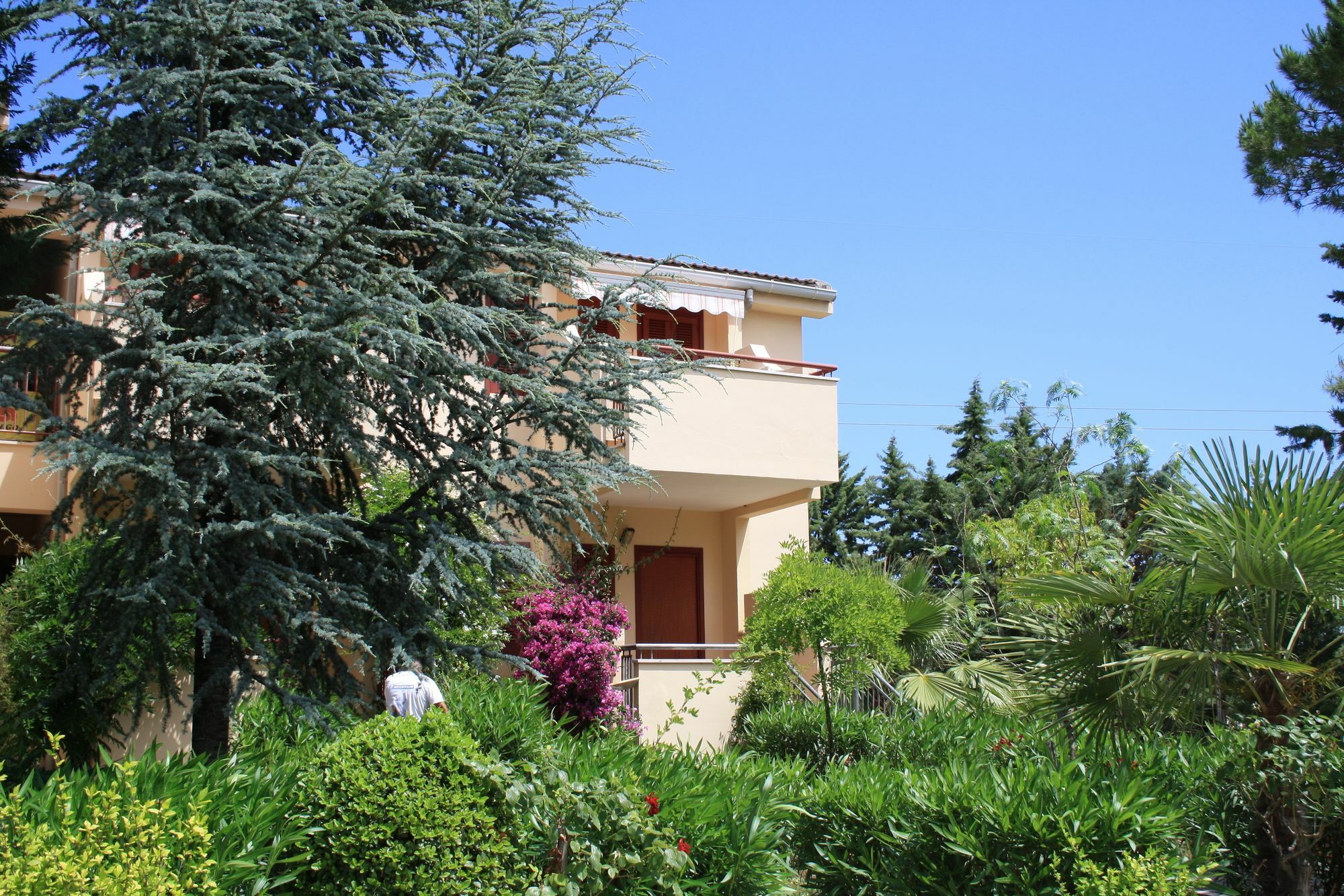 Residence Villa Agrimare Vieste Ngoại thất bức ảnh
