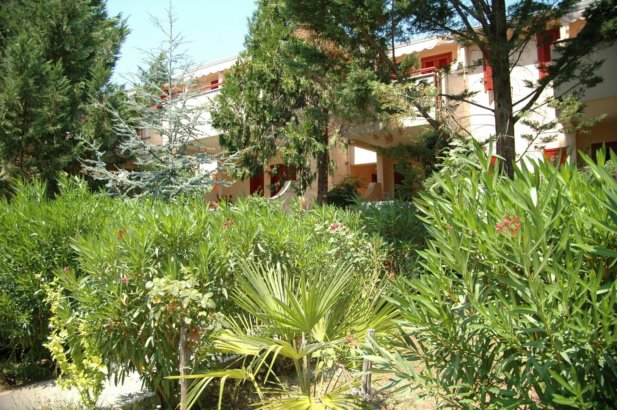 Residence Villa Agrimare Vieste Ngoại thất bức ảnh